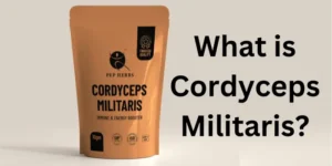 what is Cordyceps Militaris